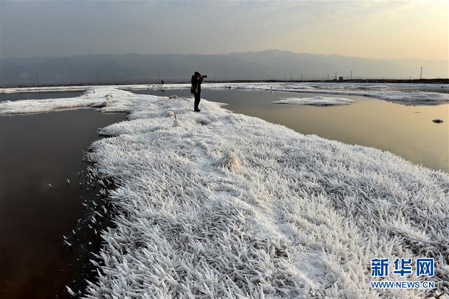 （晚报）（4）“中国死海”运城盐湖现“硝凇”景观