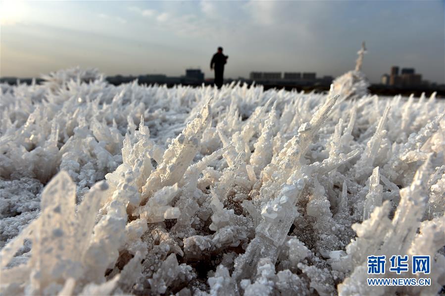 （晚报）（3）“中国死海”运城盐湖现“硝凇”景观