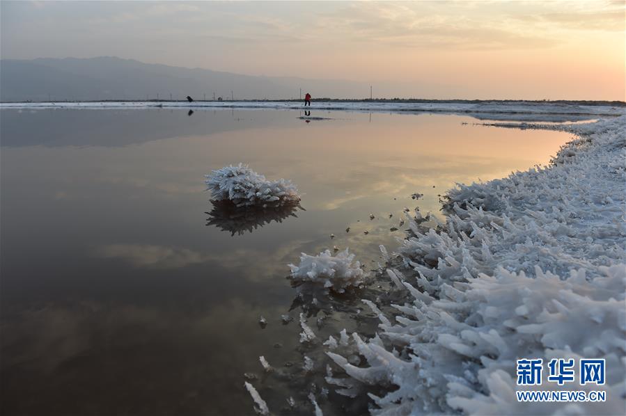 （晚报）（1）“中国死海”运城盐湖现“硝凇”景观