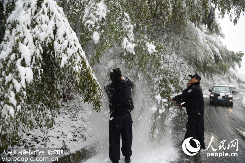 银装素裹冷字当头 南方多地降雪降温(13)-千