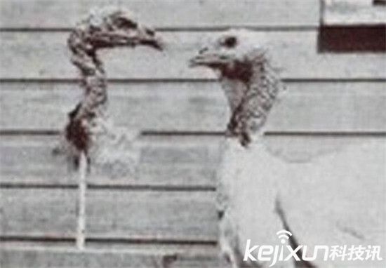 平行宇宙惊人发现：另一世界有同样的你