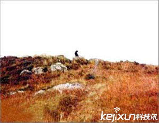 全球怪物大搜寻：几十年未解之谜