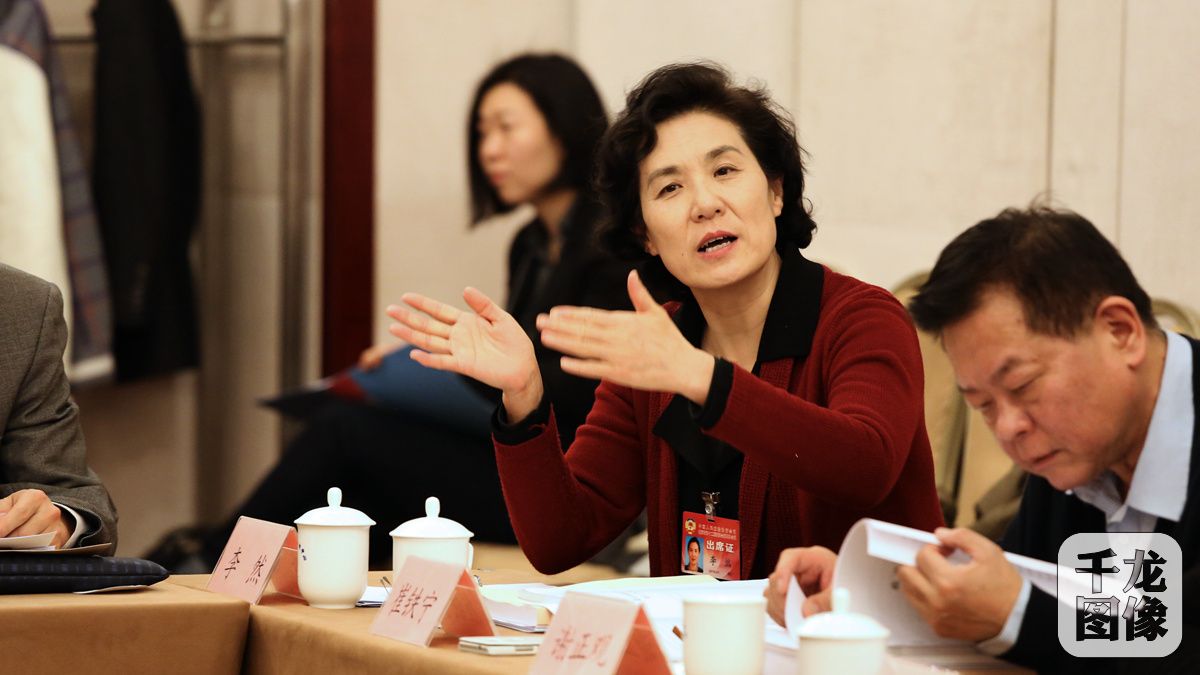 1月22日，政协委员李然就学前教育计划发表意见。千龙网记者 王璟玥摄