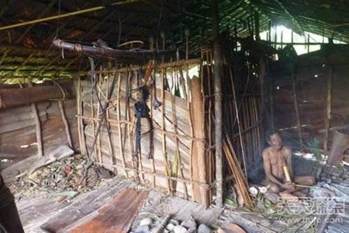 揭秘新几内亚食人族部落：女人等级次于猪