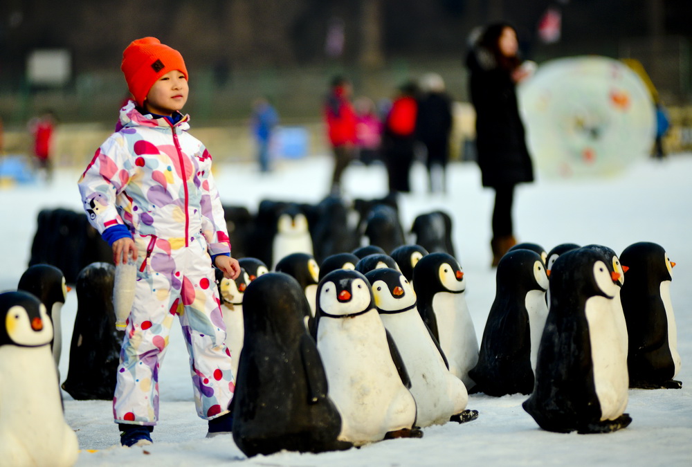 组图：北京陶然亭冰雪嘉年华迎新年【3】