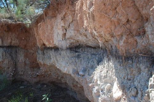 老兵沉默44年 曝神秘UFO调查行动