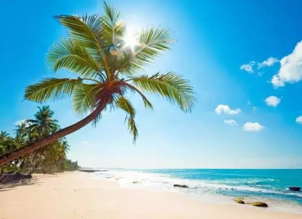 买房大军路线图 你在海南买房了吗?(2)-千龙网