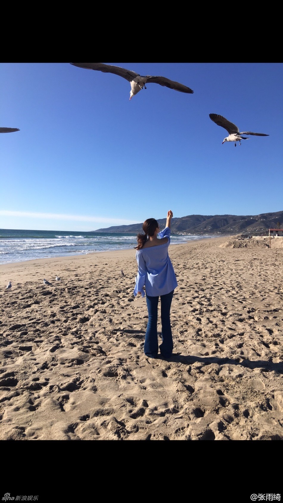 张雨绮沙滩美照穿露肩装秀锁骨 侧扎马尾似少