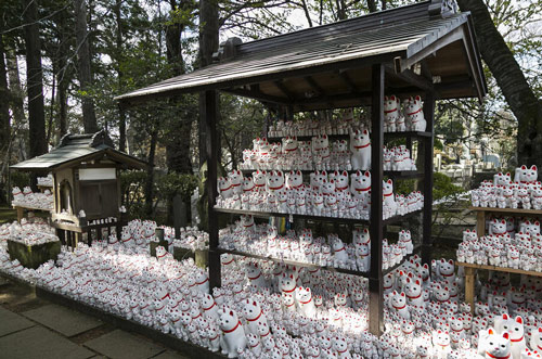 当地时间2016年1月26日，日本东京，当地Goutoku寺庙展出成千上万的“招财猫”。