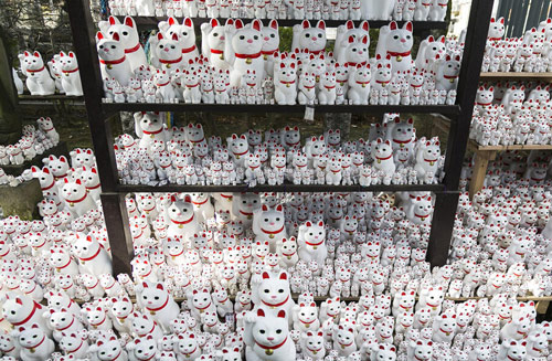　“招财猫”