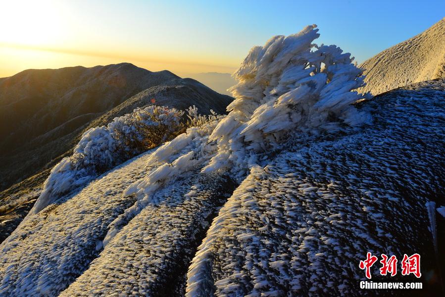 福建武平第一高峰梁野山雪景美如画