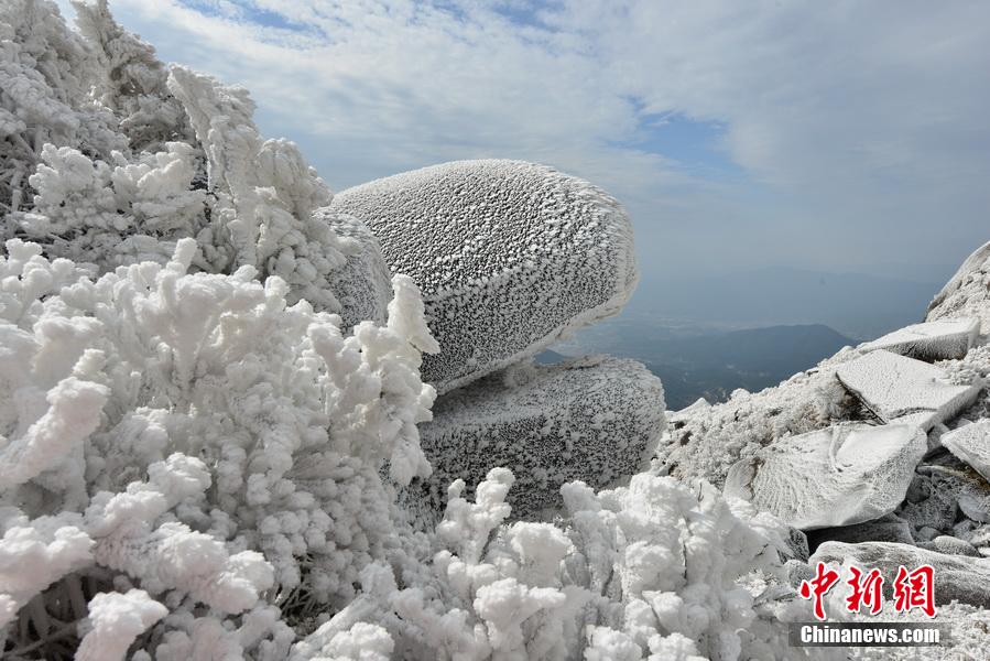福建武平第一高峰梁野山雪景美如画