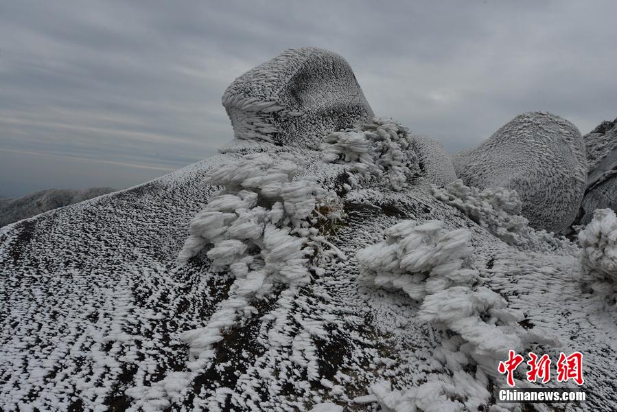 福建武平第一高峰梁野山雪景美如画