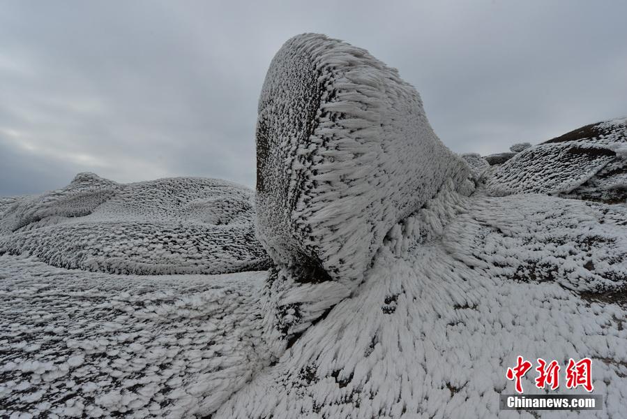 福建武平第一高峰梁野山雪景美如画