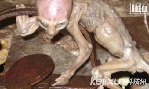 全球OFO外星人事件大盘点