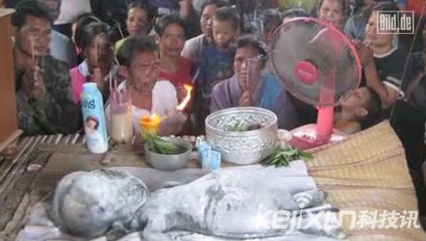 全球OFO外星人事件大盘点