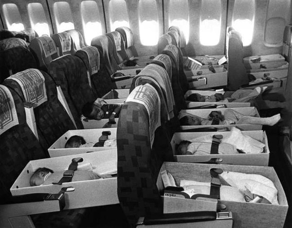 9. 1975年，美国开始了越战婴儿的空运行动，目的是将在越战中失去父母的孤儿运往美国安置。