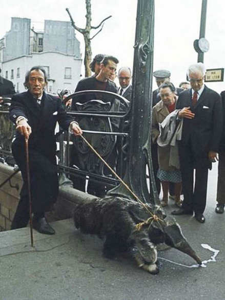 8. 1969年萨尔瓦多达利在街头遛他的宠物…是一只食蚁兽。
