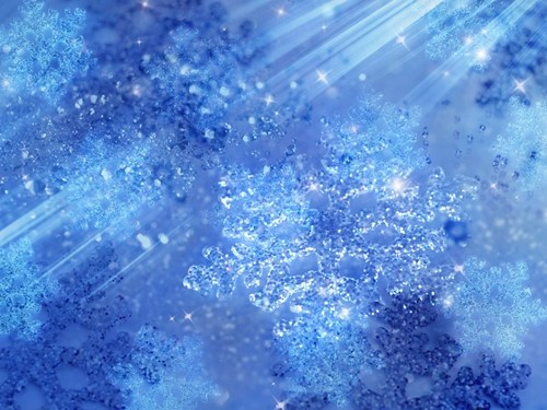 看极寒天气下的独特美景：鸟儿秀芭蕾冰雪梦幻