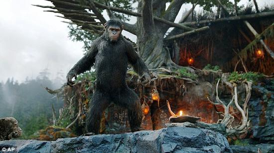 人类灭绝5000万年后谁接管地球？灵长类难成功