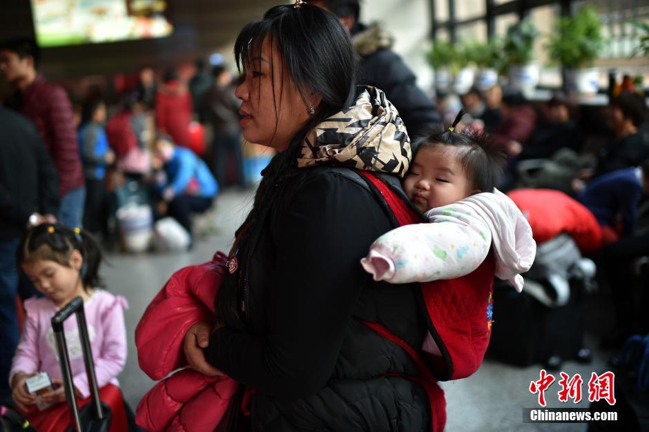 【图刊】春运路上的小候鸟