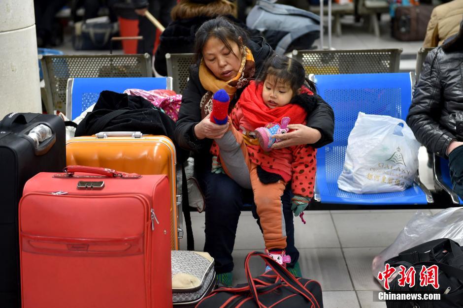 【图刊】春运路上的小候鸟