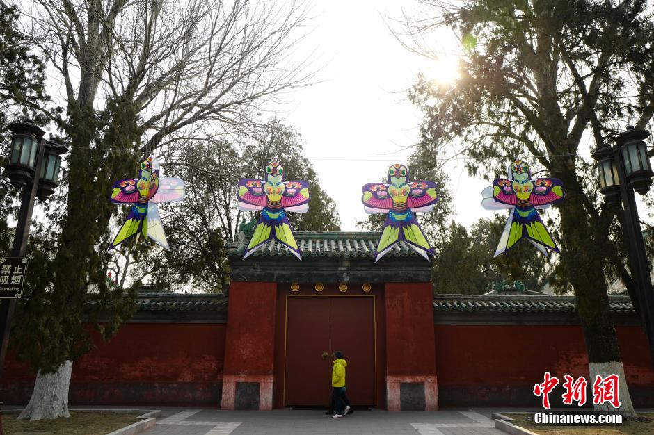 1月29日，市民在布置了猴年庙会装饰的地坛公园内散步。随着中国传统节日春节的临近，北京各地开始增添新年装饰，增加喜庆气氛。传统的地坛庙会新年期间将如期举行。 中新社记者 侯宇 摄