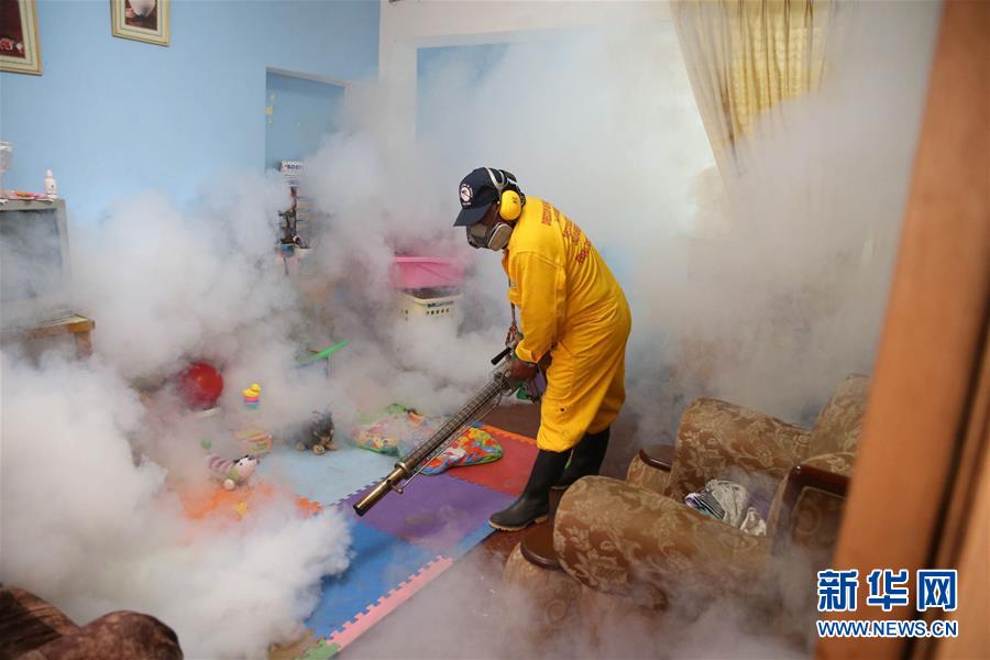 （国际）（4）世卫：寨卡病毒冬季在欧洲传播风险极低