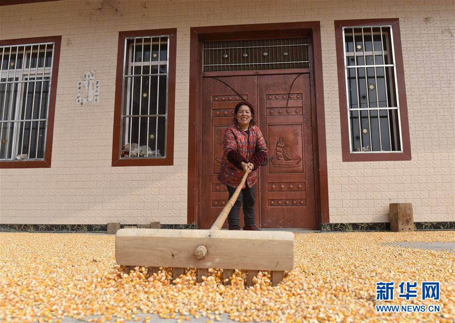 （社会）（4）芦山地震灾区：重建项目完工逾九成