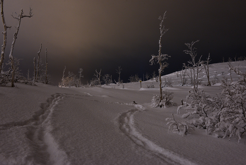 俄摄影师拍摩尔曼斯克极夜美景 宛如童话王国