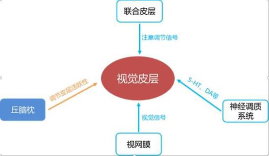 渴望六小龄童上春晚的心理学原因是啥?