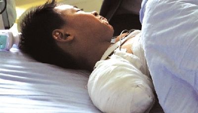 男子遭熊扯掉手臂 细数那些动物园“惨案”