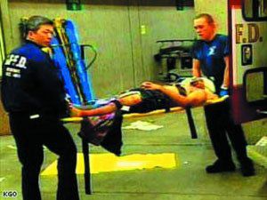 男子遭熊扯掉手臂 细数那些动物园“惨案”