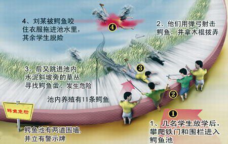 男子遭熊扯掉手臂 细数那些动物园“惨案”