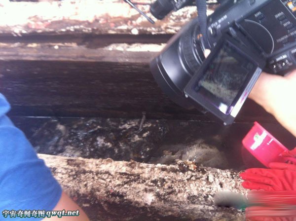 女子活着就被放入棺中！明代冥婚墓恐怖开棺