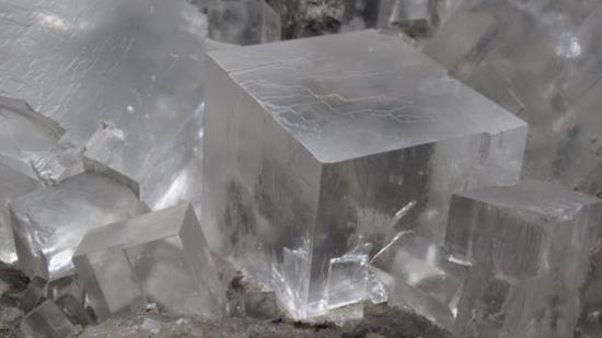 或可存活火星的地球微生物：耐辐射球菌居首