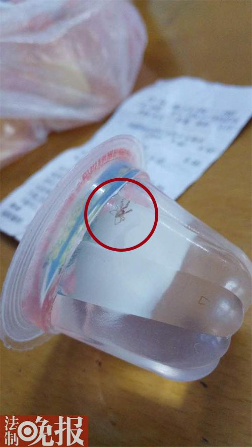 男子吃果冻吃出蜘蛛索赔百万 厂家称被敲诈已报警