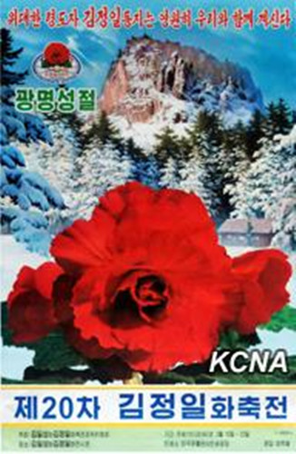 朝鲜第20届金正日花节宣传画问世庆祝光明星节（图）