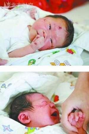 20月大幼儿无安全措施攀岩