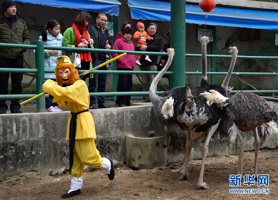 （社会）（2）福州：猴年春节将至 “孙大圣”排练忙