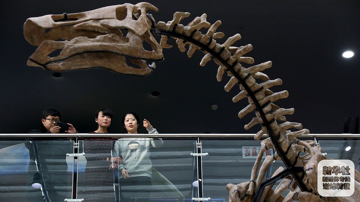 山东莱阳白垩纪国家地质公园开园迎客-千龙网·中国首都网