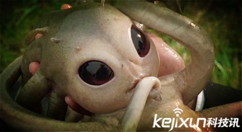 不明飞行物上现外星男婴 外星人存在不容置疑