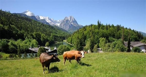 实拍德国最富裕的地区生活(4)-千龙网·中国首