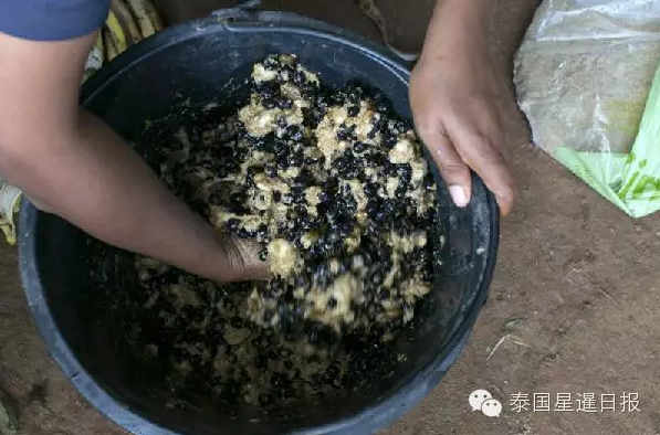 这种原理同猫粪咖啡原理相似，只是大象胃型更大，更有助于消化分解。