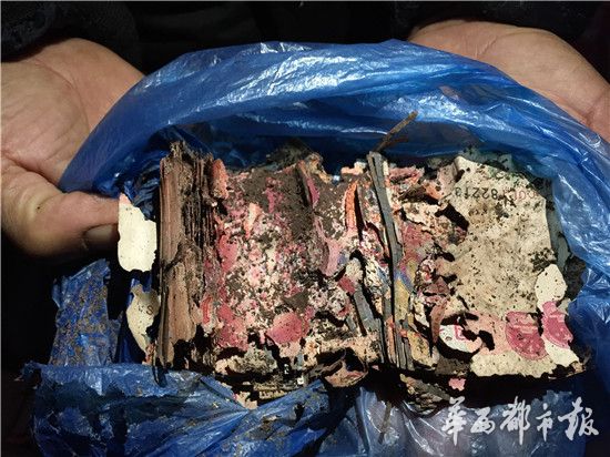 四川老人两万现金埋地下 被白蚁啃成钱渣渣