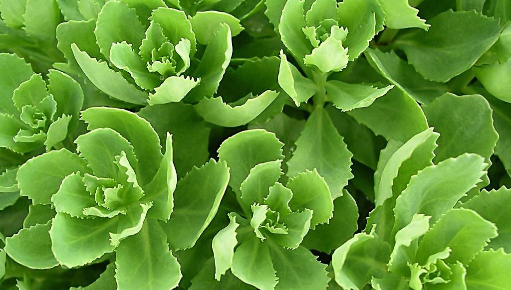 有一种病叫年后不想上班 肿么破?(2)-千龙网·