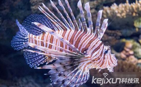 深海黑洞困扰科学家 盘点地球五大震惊世界不解之谜