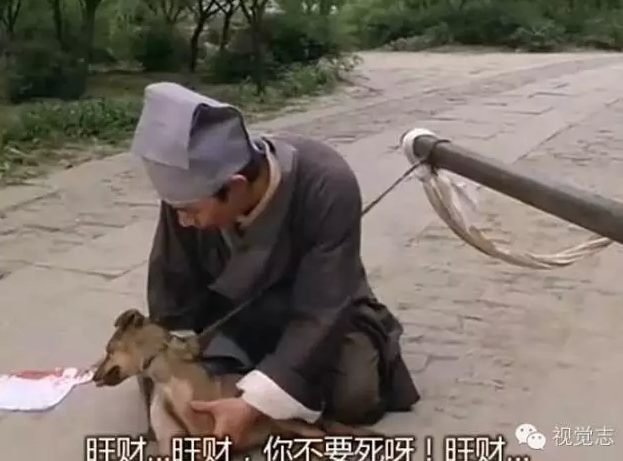 她们把最美的自己，都给了同一个男人