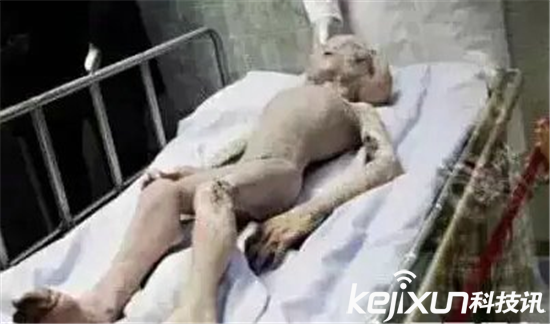 揭秘外星人10大特征：无法消化地球的蛋白质