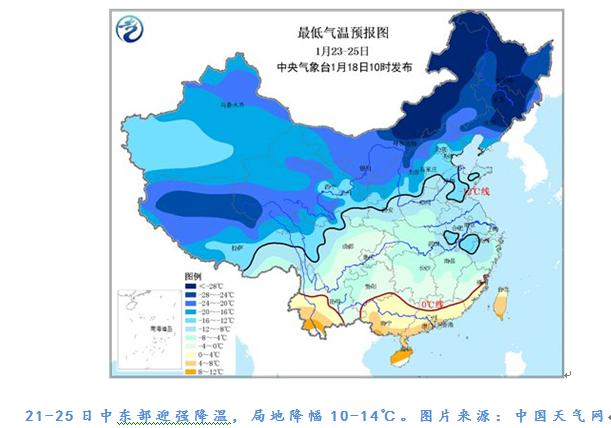 花期推迟花市看涨 都是寒潮“惹的祸”？